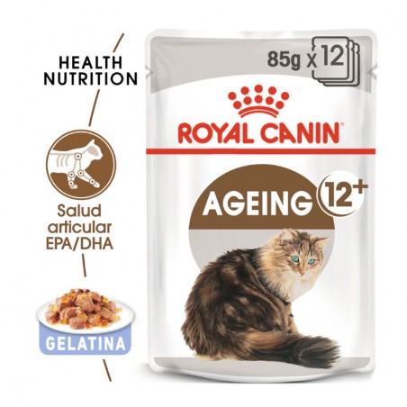 Alimentação húmida gato sénior ROYAL CANIN Ageing +12 - Jelly 85 gr