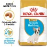 Ração cachorro ROYAL CANIN French Bulldog Junior 10 kg